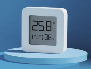 Spare Wireless Thermometer