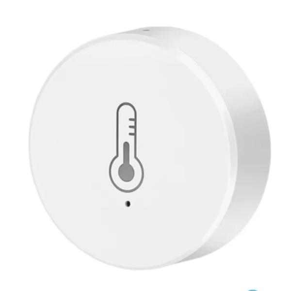 Wireless Thermometer - no display